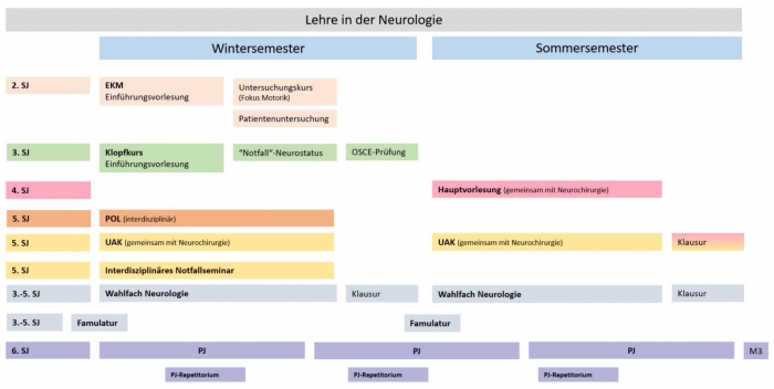 Organigramm Lehre und Ausbildung in der Neurologie